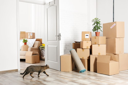 How can ServiceMarket help with your move in Sharjah?