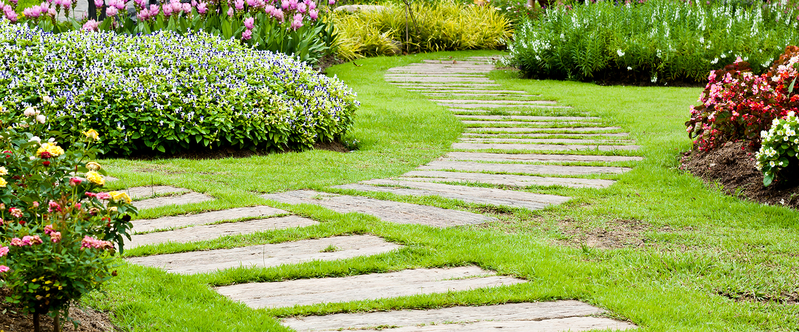 What can a landscape designer do for you?