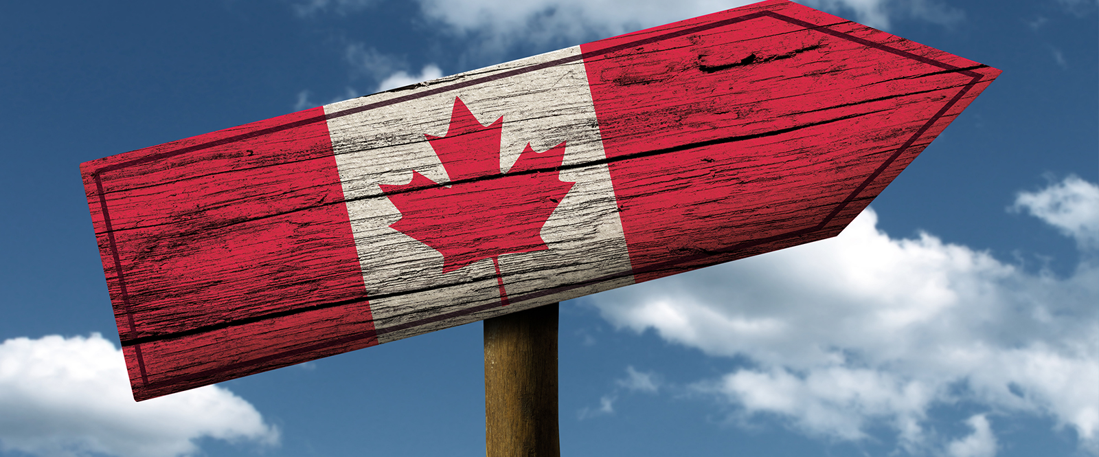 Why Choose ServiceMarket for Your Dubai-to-Canada Move?