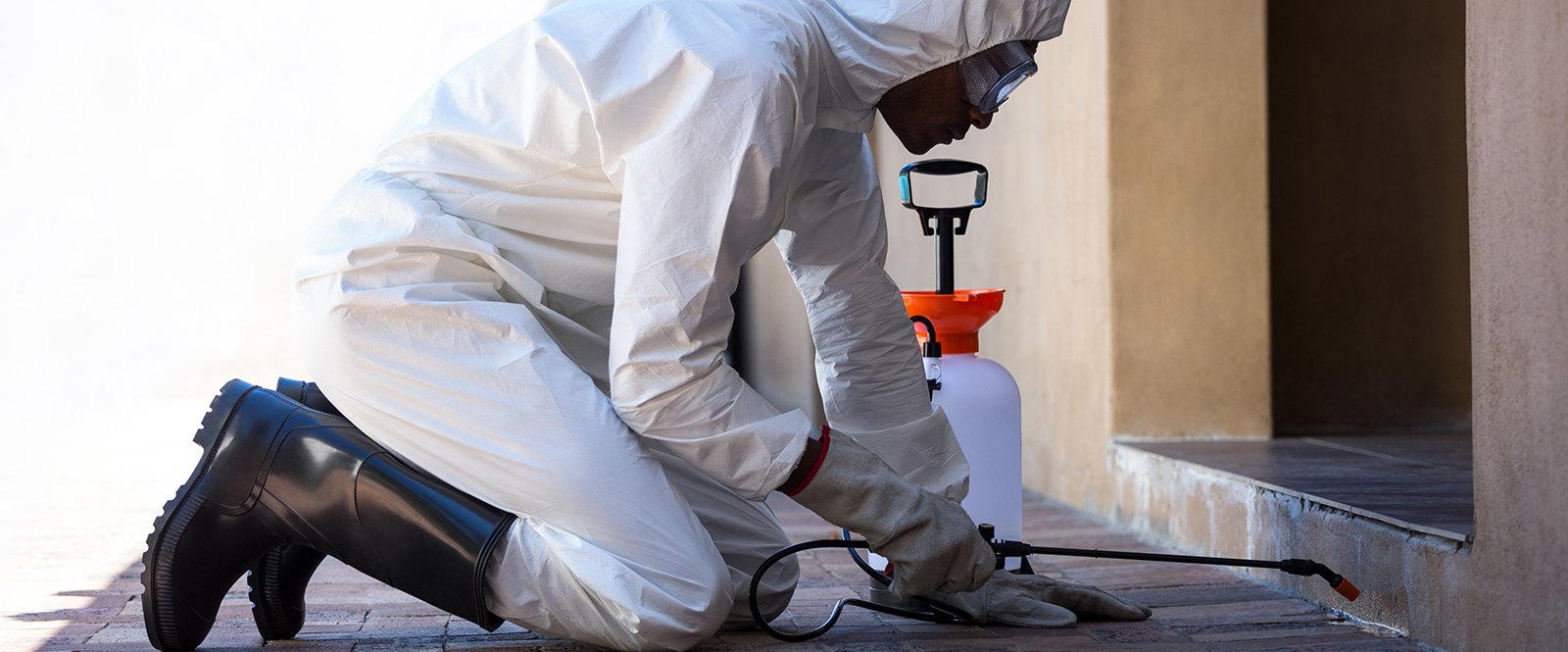 Why choose ServiceMarket?