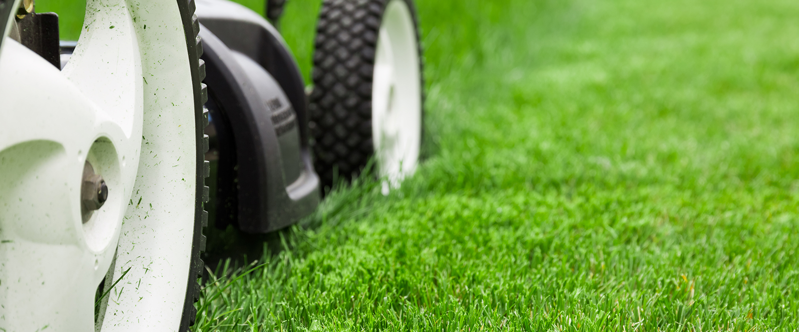 Natural vs Artificial