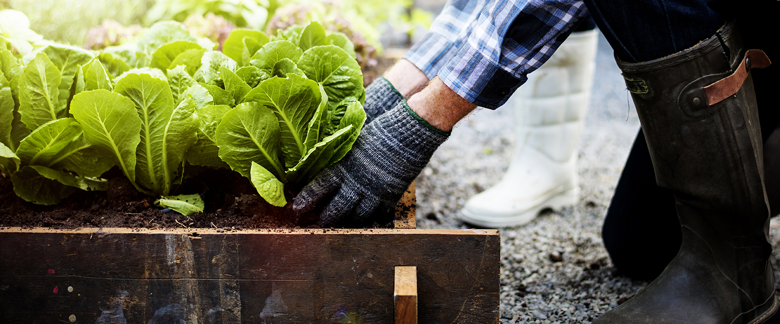 Why find a gardening company through ServiceMarket