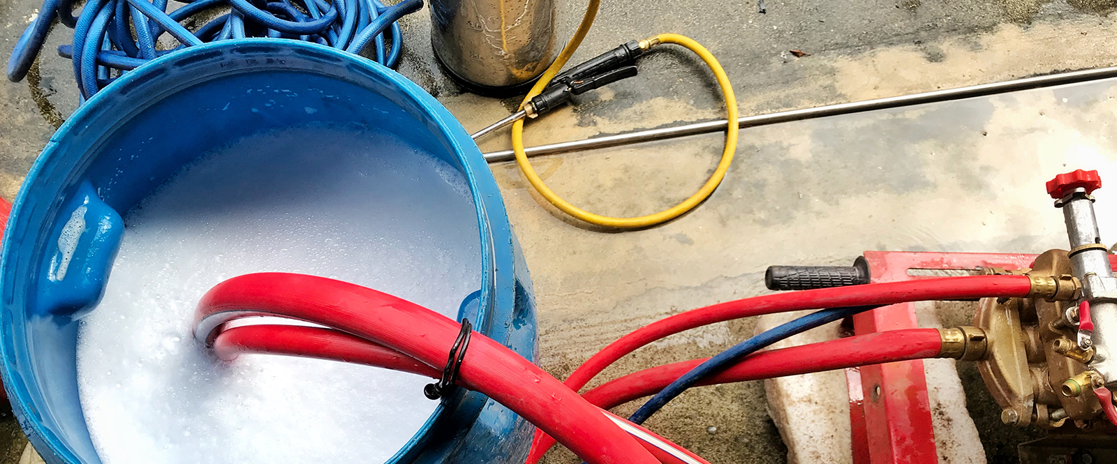 How much will the service cost?