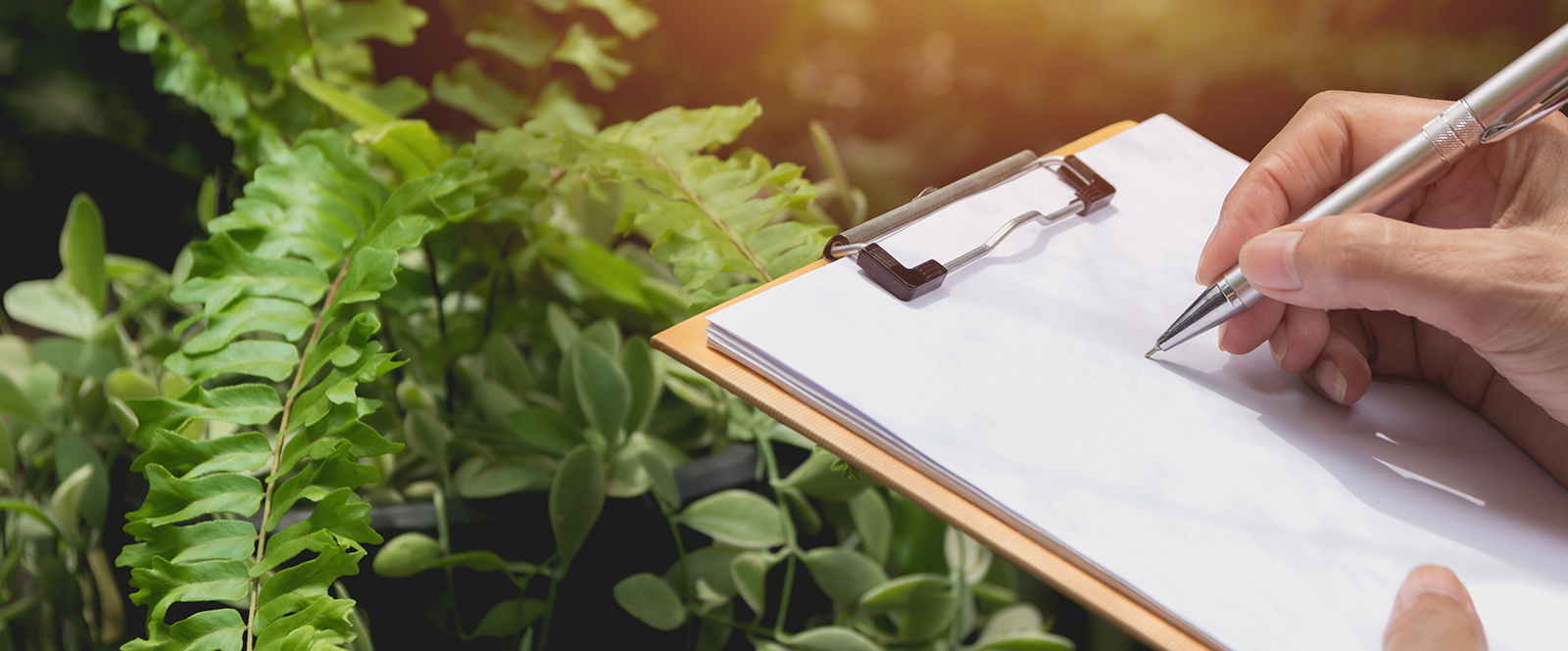 How is the price structured?