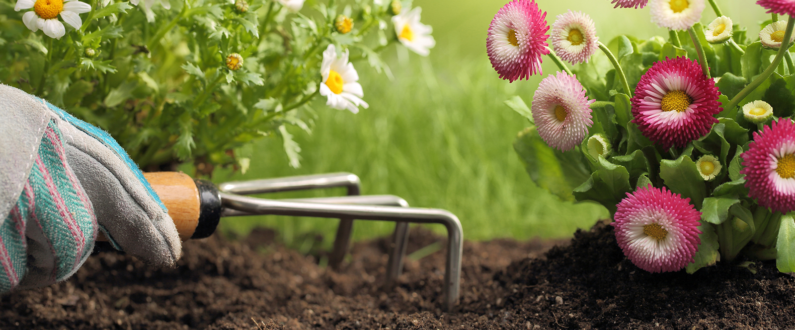 What to expect from an annual gardening contract