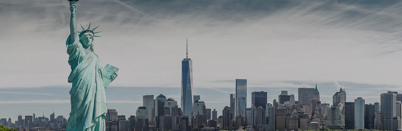 Looking for movers from Abu Dhabi to the USA?