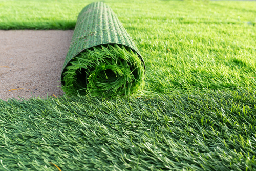 Natural grass vs artificial grass