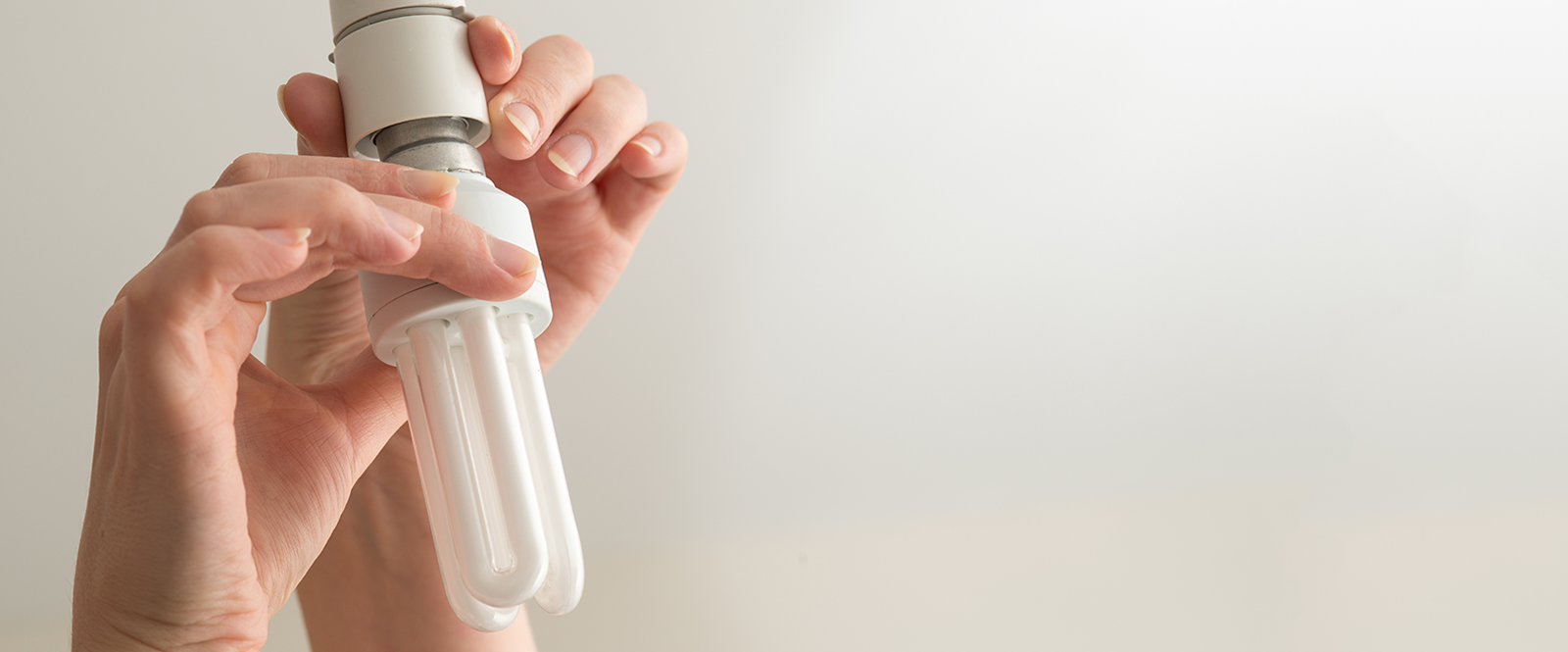 Light bulbs and spotlights