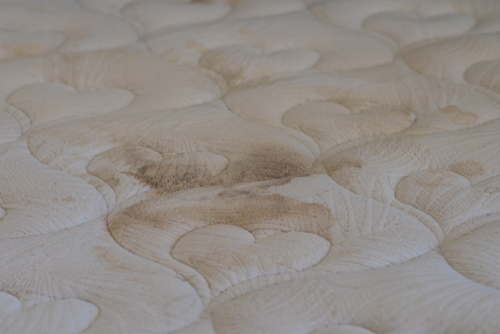 A dirty mattress contains…