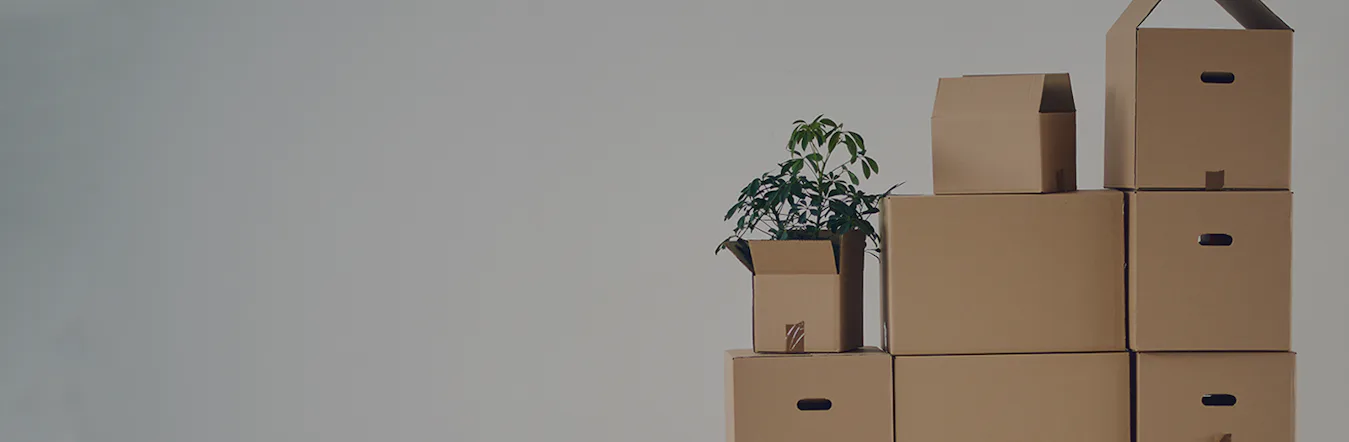 Get free quotes for storage in Abu Dhabi