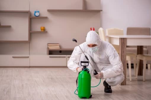 Expert Mosquito Control by Certified Professionals